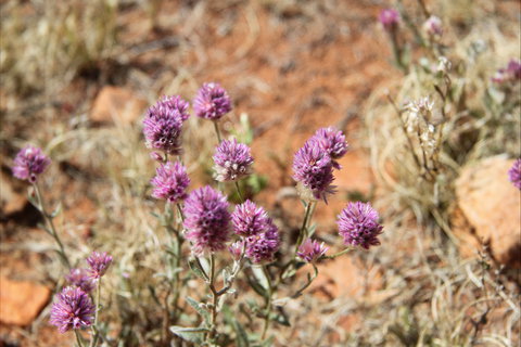 Walpa Gorge Walk - Holiday Adelaide 0