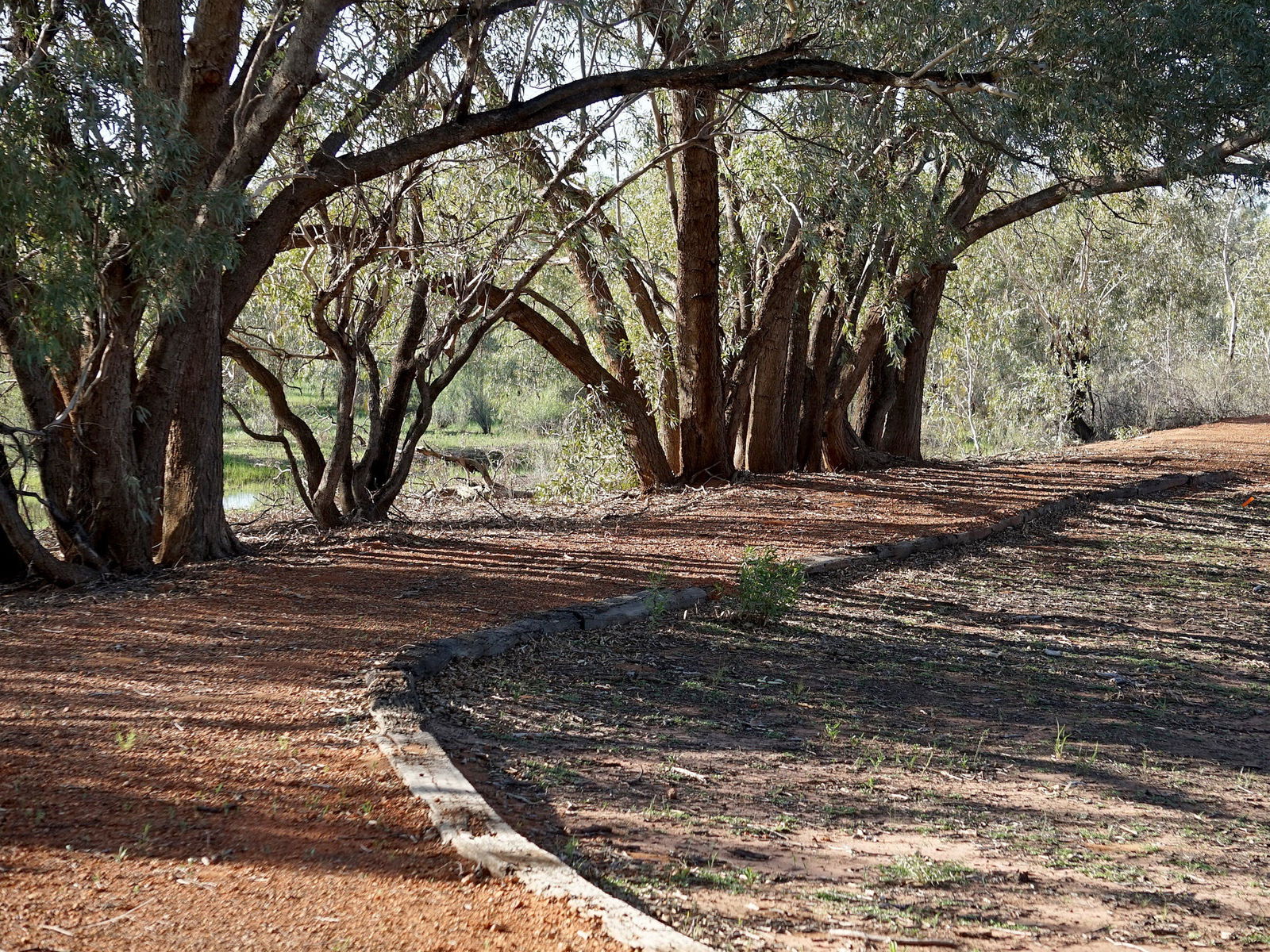 Louth NSW Holiday Adelaide