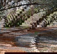 Warrego Floodplain walking track - Holiday Adelaide