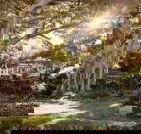 Wendy Whiteley's Secret Garden - Holiday Adelaide