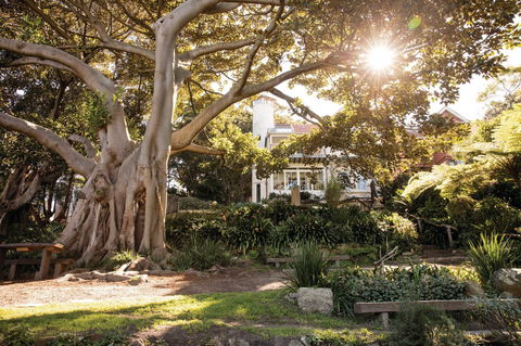 Wendy Whiteley's Secret Garden - Holiday Adelaide 0
