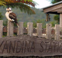 Yandina - Holiday Adelaide