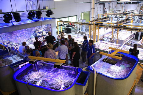 Australian Institute Of Marine Science - Holiday Adelaide 0