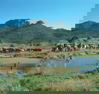 Biggenden - Holiday Adelaide