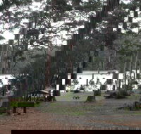 Big Brook Arboretum - Holiday Adelaide