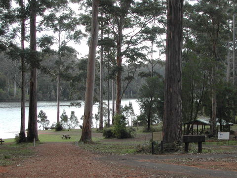 Big Brook Arboretum - Holiday Adelaide 0