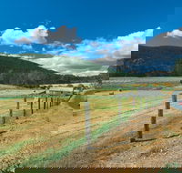 Blackwood River Tourist Drive - Holiday Adelaide