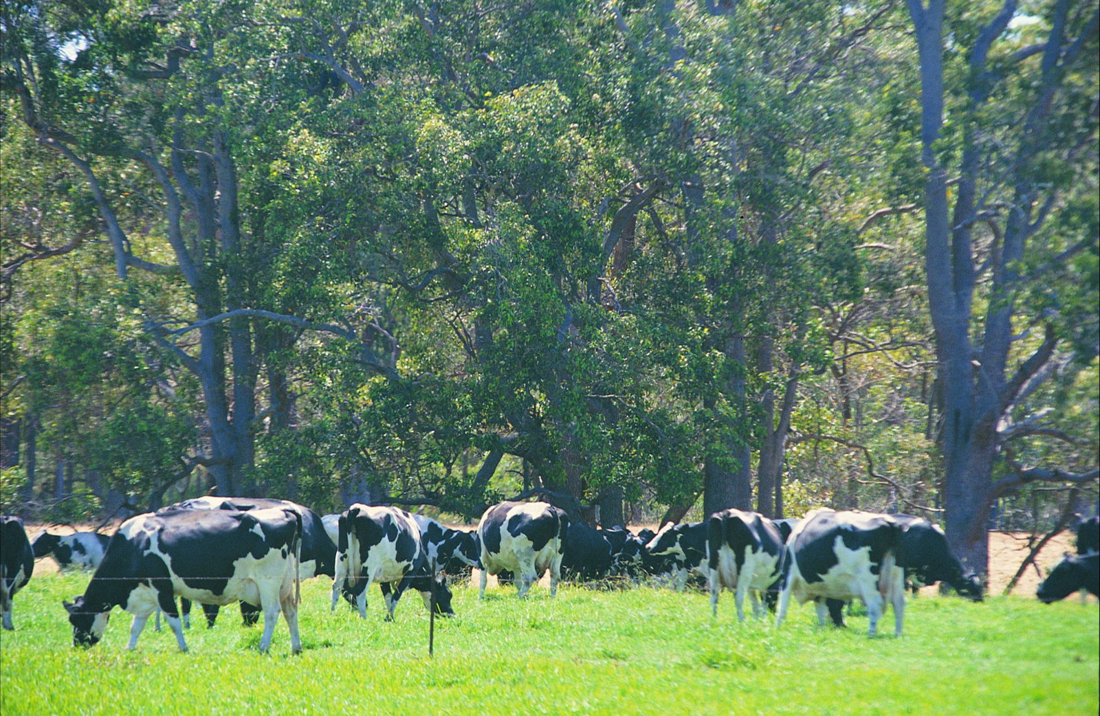 Stratham WA Holiday Adelaide