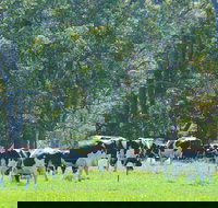 Boyanup - Holiday Adelaide