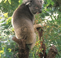 Caversham Wildlife Park - Holiday Adelaide