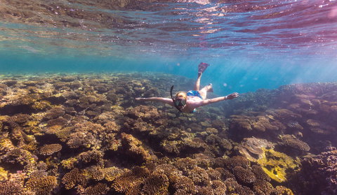 Complete Ningaloo Reef Experience - Holiday Adelaide 1