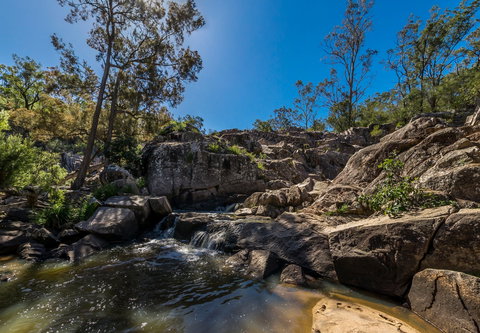 Crows Nest National Park - Holiday Adelaide 1
