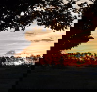 Dangar's Lagoon and Racecourse Lagoon - Holiday Adelaide