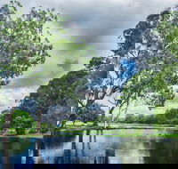 Gold Coast Regional Botanic Gardens - Holiday Adelaide