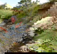 Gold Panning Deep Creek - Holiday Adelaide