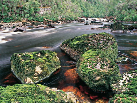 Gordon River - The - Holiday Adelaide 2