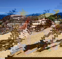 Gundersen Reserve - Holiday Adelaide