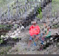 Gunbower Island Forest Drive - Holiday Adelaide