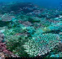 Hanging Rock Dive Site - Holiday Adelaide