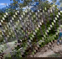 Herring Island Environmental Sculpture Park - Holiday Adelaide