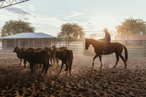 Katherine Outback Experience - Horse Riding Experience - Holiday Adelaide 2