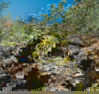 Kroombit Tops National Park - Holiday Adelaide
