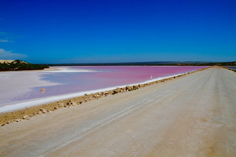Lake McDonnell - Holiday Adelaide 0