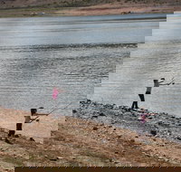 Lake Wyangala - Holiday Adelaide