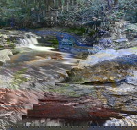 Liffey Falls Reserve - Holiday Adelaide