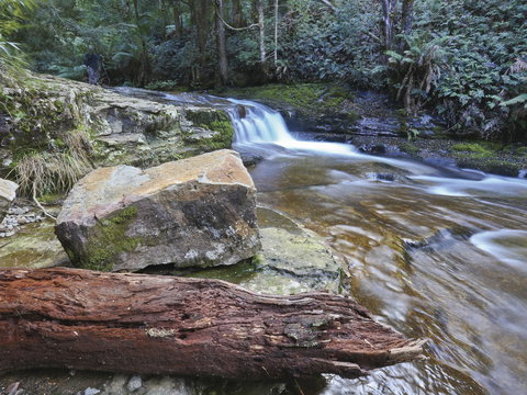 Liffey Falls Reserve - Holiday Adelaide 0