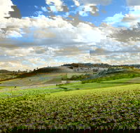 Lions Park Hodgson Vale - Holiday Adelaide