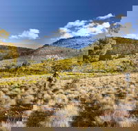 Little Mountain Walking Track - Holiday Adelaide