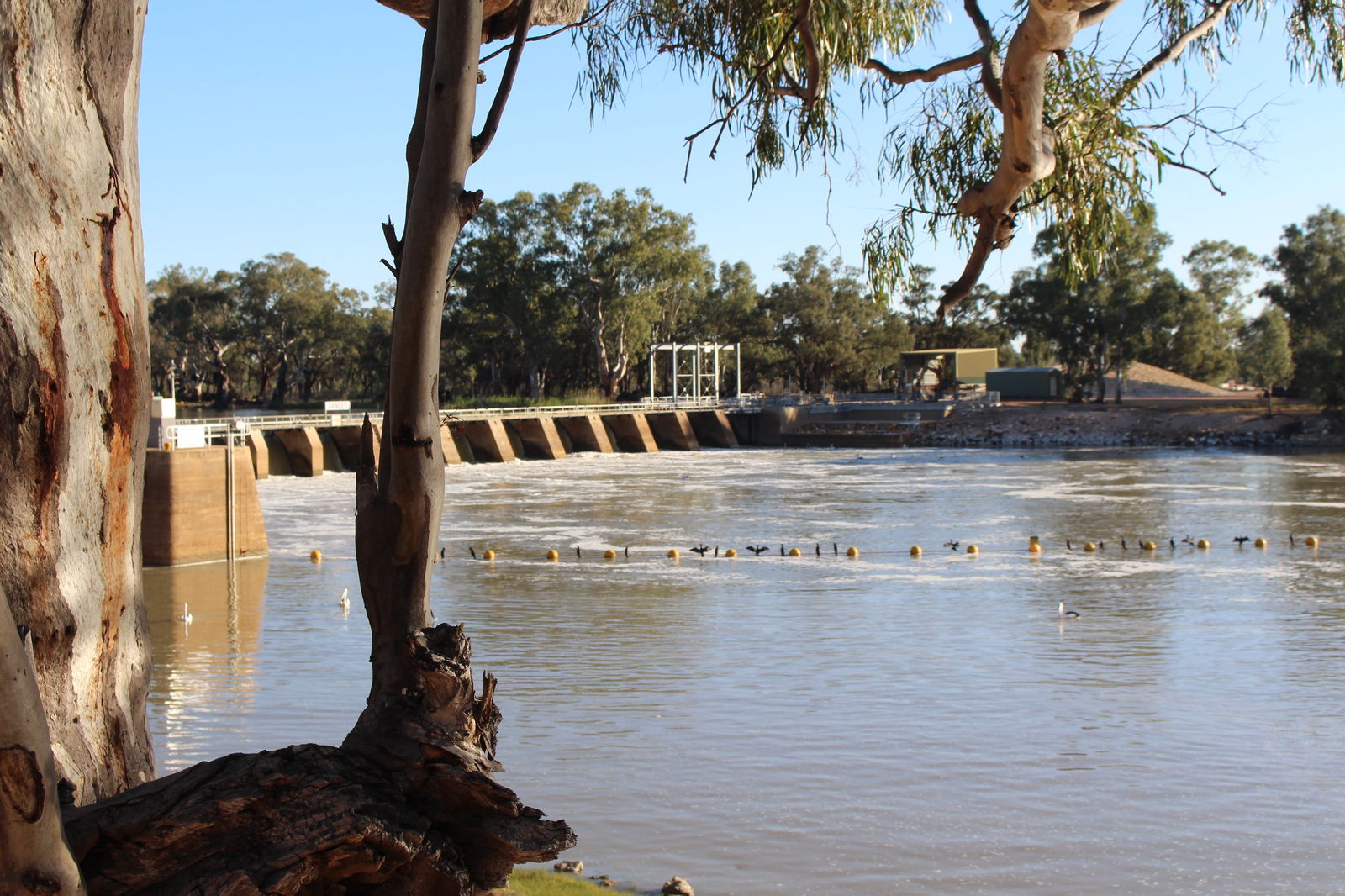 The Riverland And Murraylands SA Holiday Adelaide