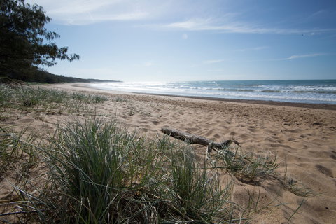 Mon Repos Beach - Holiday Adelaide 1