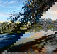 Murray River National Park - Katarapko - Holiday Adelaide
