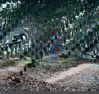 Nerang Mountain Bike Trails - Holiday Adelaide