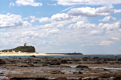 Nobbys Beach - Holiday Adelaide 1