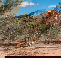 Old Coach Road Drive - Holiday Adelaide