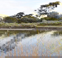 Onkaparinga River Recreation Park - Holiday Adelaide