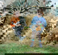 Rain Hayne and Shine Farmyard - Holiday Adelaide