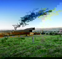 Ravensbourne - Holiday Adelaide