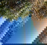 Richmond Valley Cultural Heritage Self Drive Tour - Holiday Adelaide