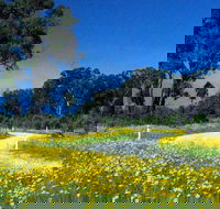 Shearer's Way - Holiday Adelaide