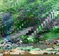 Tamborine National Park