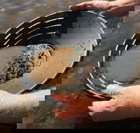 Tuena Panning for Gold - Holiday Adelaide