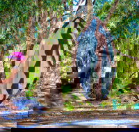 Wagirra Trail and Yindyamarra Sculpture Walk - Holiday Adelaide