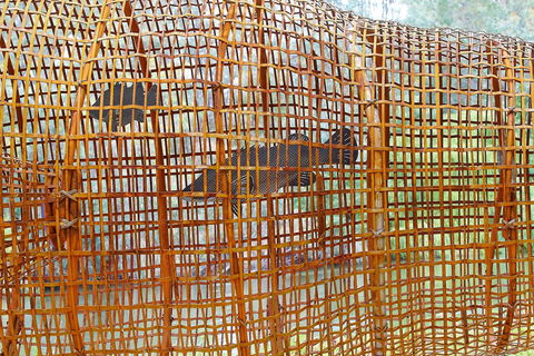 Wagirra Trail And Yindyamarra Sculpture Walk - Holiday Adelaide 2