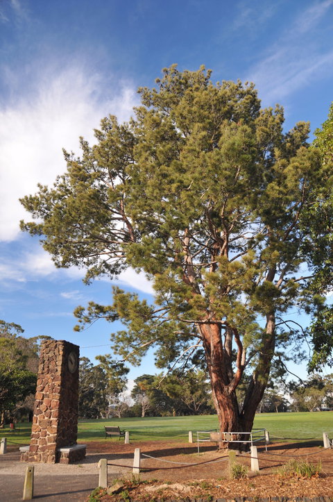 Wattle Park - Holiday Adelaide 2