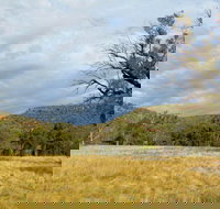 Weddin Mountains National Park - Holiday Adelaide