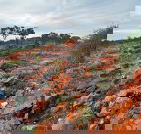 Western Ridge Walk - Holiday Adelaide